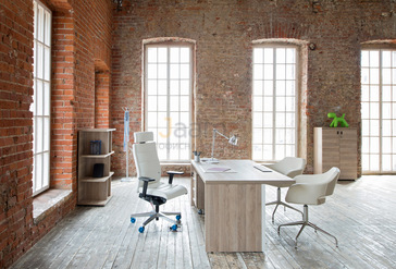 Кабинет руководителя Terra