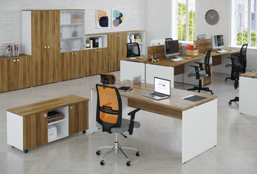 Кабинет руководителя TESS