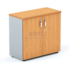 Кабинет руководителя Шкаф глухие двери